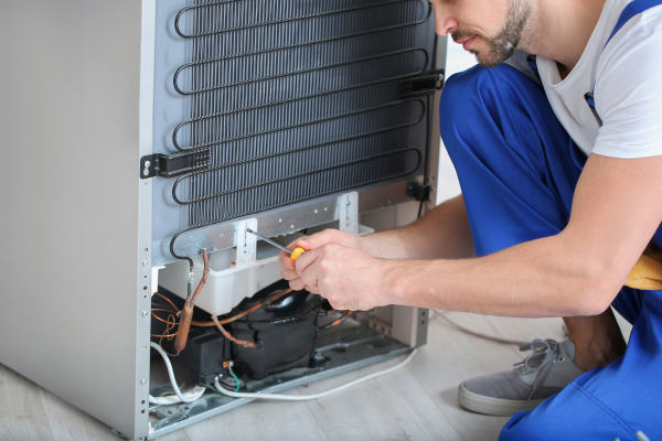 Refrigerator electrical repair in Patna